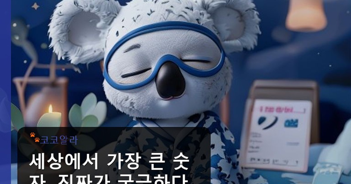 세상에서 가장 큰 숫자 - finance.aaa12a.co.kr 캐릭터