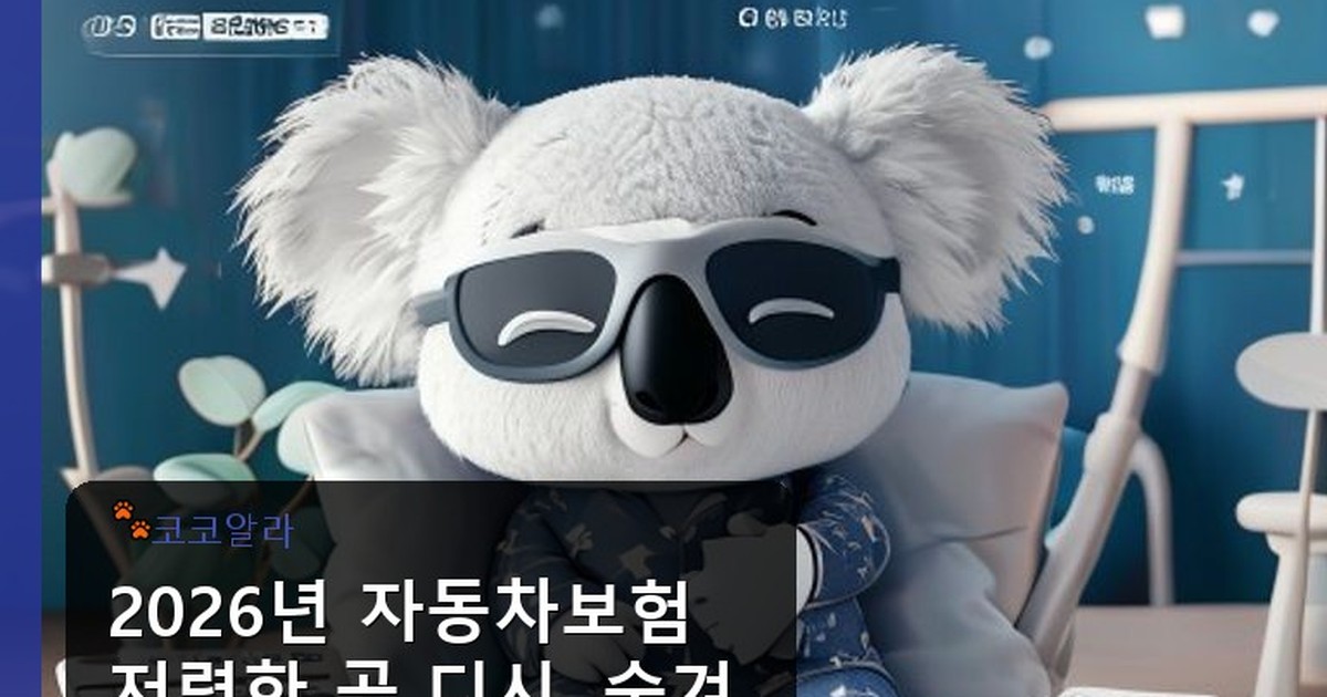 자동차보험 저렴한 곳 디시 - finance.aaa12a.co.kr 캐릭터