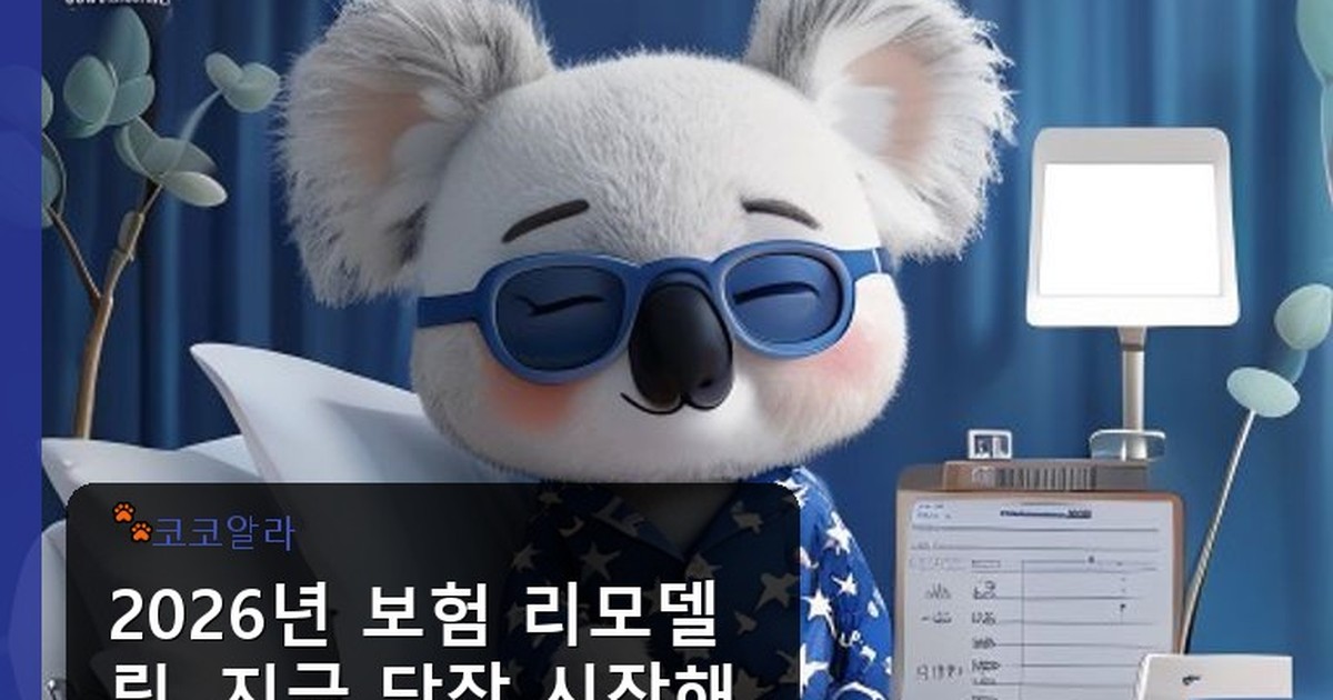 보험 리모델링 - finance.aaa12a.co.kr 캐릭터
