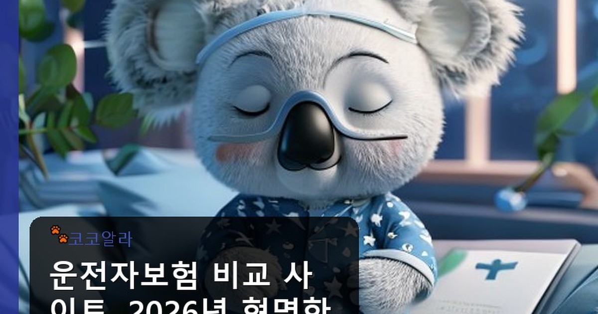 운전자보험 비교 사이트 - finance.aaa12a.co.kr 캐릭터