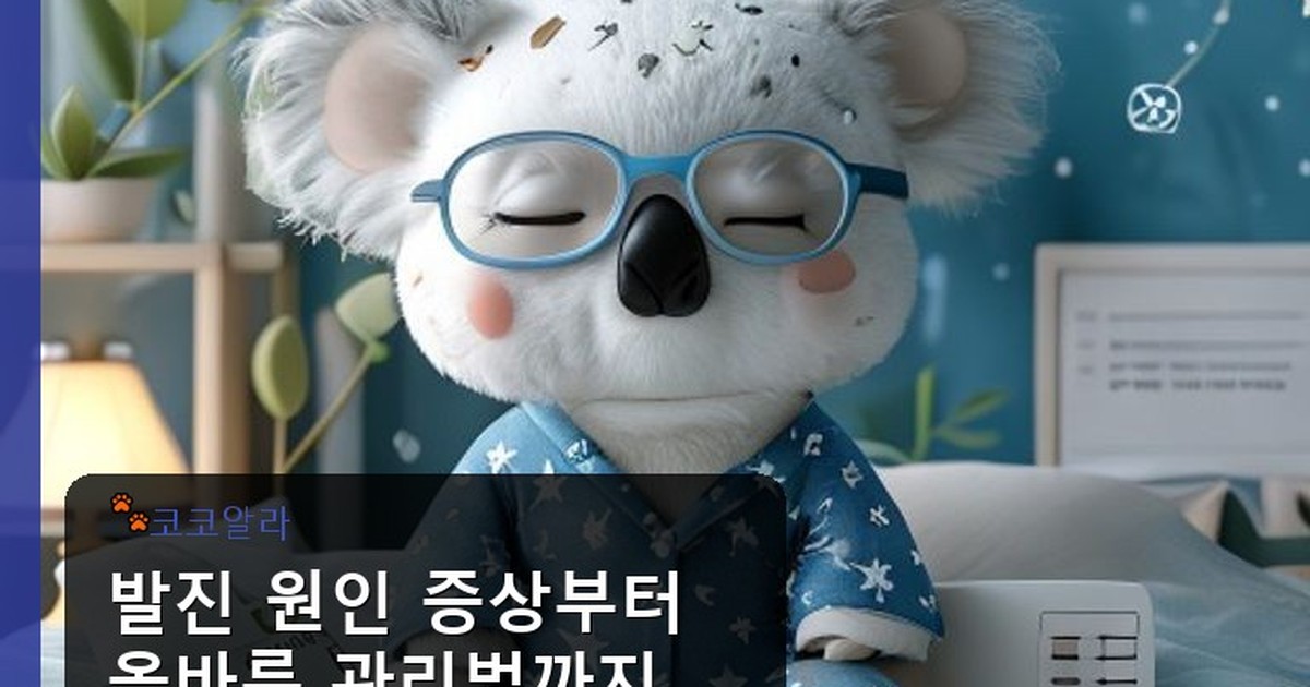 발진 원인 증상 - finance.aaa12a.co.kr 캐릭터