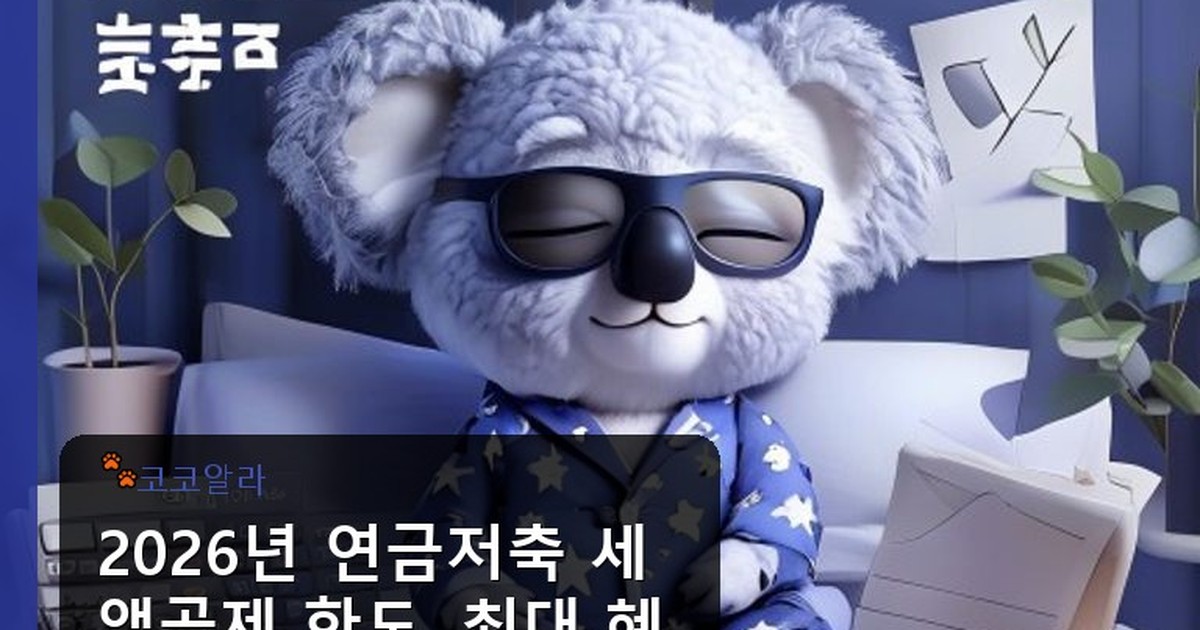 연금저축 세액공제 한도 - finance.aaa12a.co.kr 캐릭터