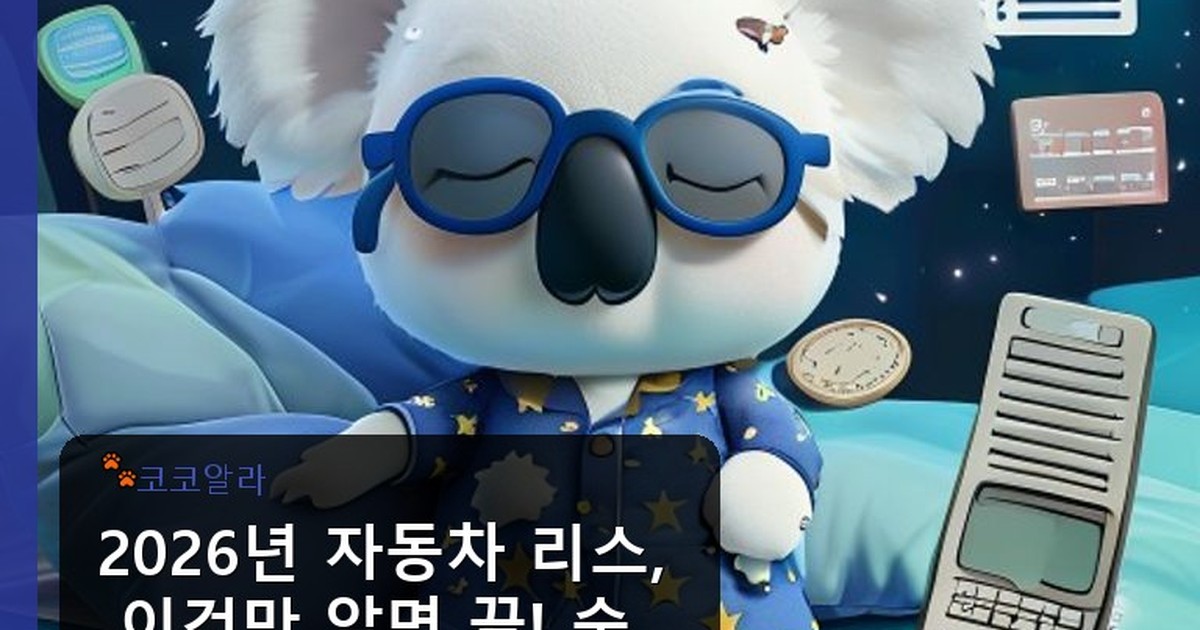 자동차 리스란 - finance.aaa12a.co.kr 캐릭터
