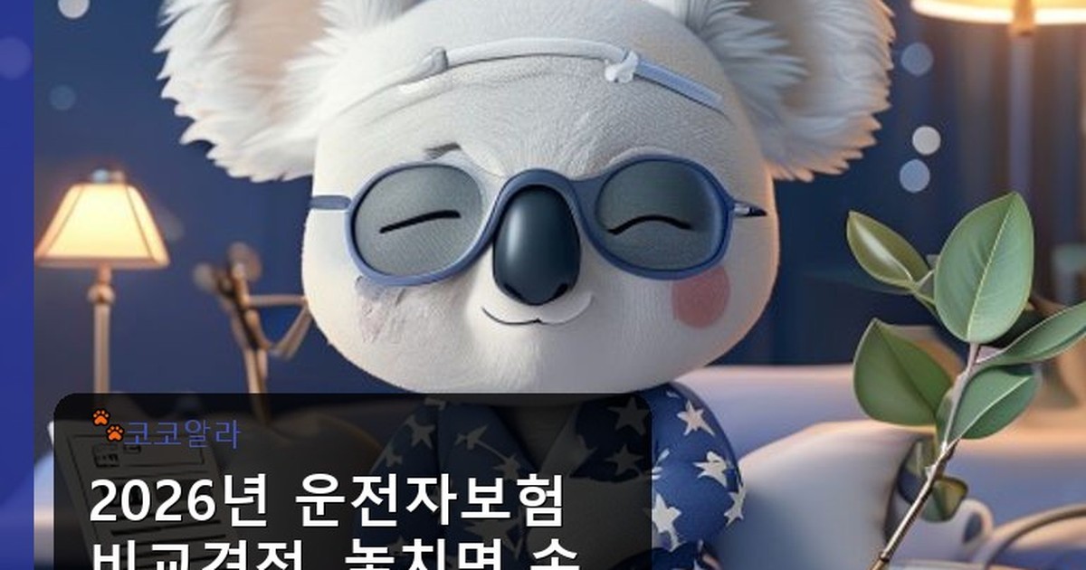운전자보험 비교견적 - finance.aaa12a.co.kr 캐릭터